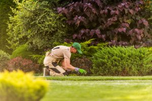 Capitalize on Garden Maintenance