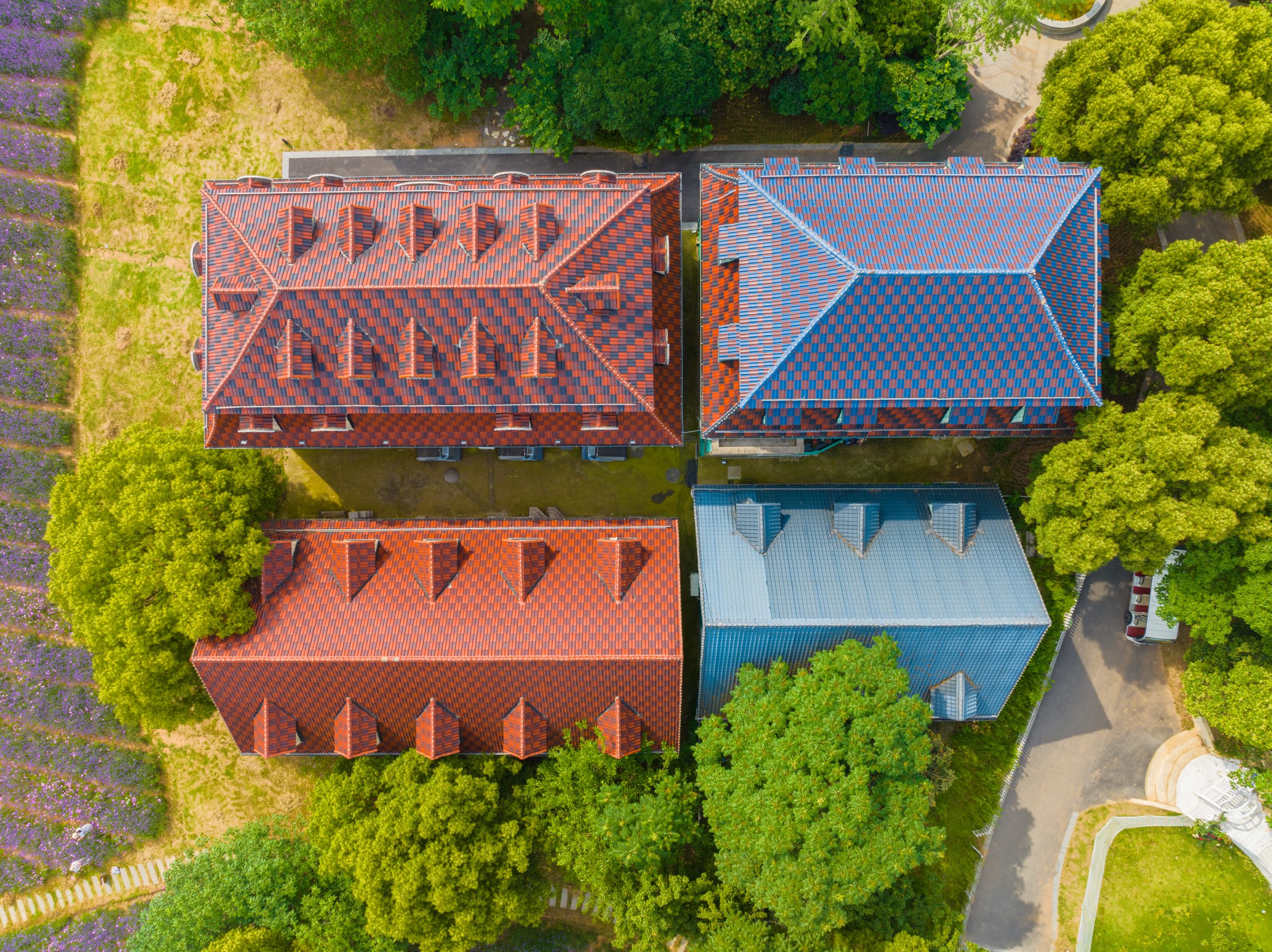 Gallery image with a fresh perspective
